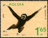 (1972-026) Марка Польша "Гиббон"    Животные из зоопарка III Θ